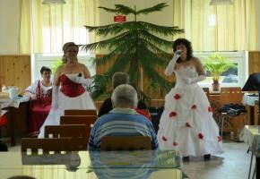 Hudobné trio magnólia